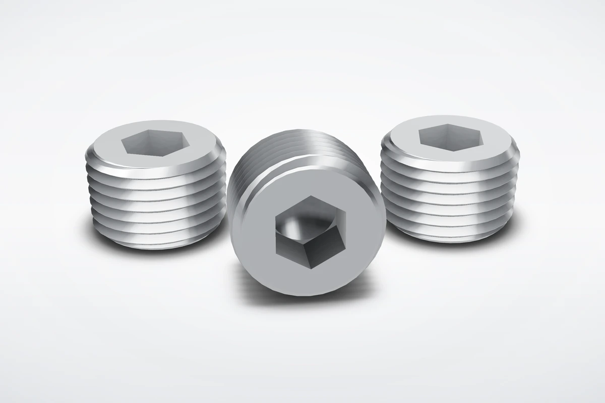 Hex Socket Pipe Plugs